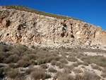 Grupo Mineralógico de Alicante. Cabezo Polovar. Villena.  Alicante