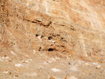 Grupo Mineralógico de Alicante. Gravera del Barraquero, Hoya Redonda, Enguera, Comarca Canal de Navarrés, Valencia 