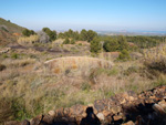 Grupo Mineralógico de Alicante. Aragonito. Minas Marúa Dolores y Catón. Paraje los Pajaritos. La Unión. Murcia  Alicante