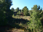 Grupo Mineralógico de Alicante. Aragonito. Minas Marúa Dolores y Catón. Paraje los Pajaritos. La Unión. Murcia  Alicante