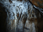 Grupo Mineralógico de Alicante. Paraje Barranco de Ojos. Aspe.  Alicante