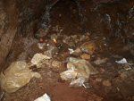 Grupo Mineralógico de Alicante. Paraje Barranco de Ojos. Aspe.  Alicante