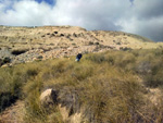 Grupo Mineralógico de Alicante. Cantera de Áridos de Holcin, Busot. Alicante