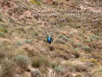 Grupo Mineralógico de Alicante. Afloramiento de Magnesitas. Camino de la Salmuera - Albatera - Hondón de los Frailes - Vega Baja - Alicante