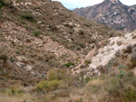 Grupo Mineralógico de Alicante. Afloramiento de Magnesitas. Camino de la Salmuera - Albatera - Hondón de los Frailes - Vega Baja - Alicante