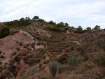 Grupo Mineralógico de Alicante. Afloramiento de Magnesitas. Camino de la Salmuera - Albatera - Hondón de los Frailes - Vega Baja - Alicante