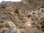 Grupo Mineralógico de Alicante. Afloramiento de Magnesitas. Camino de la Salmuera - Albatera - Hondón de los Frailes - Vega Baja - Alicante