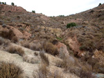 Grupo Mineralógico de Alicante. Afloramiento de Magnesitas. Camino de la Salmuera - Albatera - Hondón de los Frailes - Vega Baja - Alicante