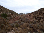 Grupo Mineralógico de Alicante. Afloramiento de Magnesitas. Camino de la Salmuera - Albatera - Hondón de los Frailes - Vega Baja - Alicante