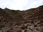 Grupo Mineralógico de Alicante. Afloramiento de Magnesitas. Camino de la Salmuera - Albatera - Hondón de los Frailes - Vega Baja - Alicante