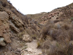 Grupo Mineralógico de Alicante. Afloramiento de Magnesitas. Camino de la Salmuera - Albatera - Hondón de los Frailes - Vega Baja - Alicante