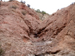 Grupo Mineralógico de Alicante.  Afloramiento de Magnesitas. Camino de la Salmuera - Albatera - Hondón de los Frailes - Vega Baja - Alicante 