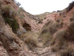 Grupo Mineralógico de Alicante.  Afloramiento de Magnesitas. Camino de la Salmuera - Albatera - Hondón de los Frailes - Vega Baja - Alicante 