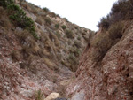 Grupo Mineralógico de Alicante.  Afloramiento de Magnesitas. Camino de la Salmuera - Albatera - Hondón de los Frailes - Vega Baja - Alicante 