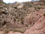 Grupo Mineralógico de Alicante.  Afloramiento de Magnesitas. Camino de la Salmuera - Albatera - Hondón de los Frailes - Vega Baja - Alicante 