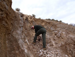 Grupo Mineralógico de Alicante. Afloramiento de Magnesitas. Camino de la Salmuera - Albatera - Hondón de los Frailes - Vega Baja - Alicante