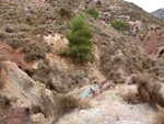 Grupo Mineralógico de Alicante. Afloramiento de Magnesitas. Camino de la Salmuera - Albatera - Hondón de los Frailes - Vega Baja - Alicante