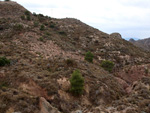 Grupo Mineralógico de Alicante. Afloramiento de Magnesitas. Camino de la Salmuera - Albatera - Hondón de los Frailes - Vega Baja - Alicante