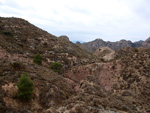 Grupo Mineralógico de Alicante. Afloramiento de Magnesitas. Camino de la Salmuera - Albatera - Hondón de los Frailes - Vega Baja - Alicante