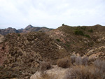 Grupo Mineralógico de Alicante. Afloramiento de Magnesitas. Camino de la Salmuera - Albatera - Hondón de los Frailes - Vega Baja - Alicante