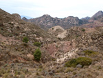 Grupo Mineralógico de Alicante. Afloramiento de Magnesitas. Camino de la Salmuera - Albatera - Hondón de los Frailes - Vega Baja - Alicante