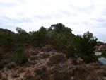 Grupo Mineralógico de Alicante. Afloramiento de Magnesitas. Camino de la Salmuera - Albatera - Hondón de los Frailes - Vega Baja - Alicante