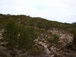 Grupo Mineralógico de Alicante. Afloramiento de Magnesitas. Camino de la Salmuera - Albatera - Hondón de los Frailes - Vega Baja - Alicante