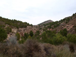 Grupo Mineralógico de Alicante. Paraje Barranco de Ojos. Aspe.  Alicante