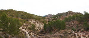 Grupo Mineralógico de Alicante. Afloramiento de Magnesitas. Camino de la Salmuera - Albatera - Hondón de los Frailes - Vega Baja - Alicante