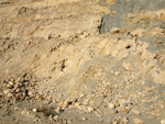Grupo Mineralógico de Alicante.  Cantera de Áridos de Holcin. Busot. Alicante 