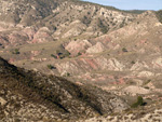 Grupo Mineralógico de Alicante.  Afloramiento de Dolomitas. Camino de la Salmuera. ALbatera - Alicante 