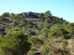 Grupo Mineralógico de Alicante. Llomes de Terol. Moralet - Alicante