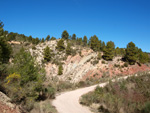 Barranco de la Escarabehuela, Enguídanos, Cuenca 