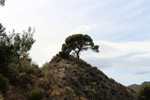Explotaciones de yesos. Loma de las Indias. La Alcoraia. Alicante