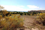 Cerro de la Oliva. Arroyo de los Migueles, Rivas Vaciamadrid Madrid 