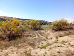 Cerro de la Oliva. Arroyo de los Migueles, Rivas Vaciamadrid Madrid 