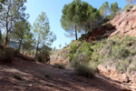 Grupo Mineralógico de Alicante. Rambla en Diapiro de Pinoso. Alicante