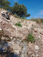 Grupo Mineralógico de Alicante. Pegmatitas. Cardeñosa. Ávila. Alicante