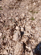Grupo Mineralógico de Alicante. Pegmatitas. Cardeñosa. Ávila. Alicante