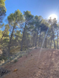 Barranco de la Tejera, Loma de la Cuna, Montalbán, Comarca Cuencas Mineras, Teruel 