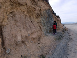 Grupo Mineralógico de Alicante.  Cantera Sierra y Lomas (Cantera Los Serranos), Cabezo Negro. Albatera. Alicante 