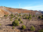 San Valentín. Sierra Minera de Cartagena La Unión. Murcia