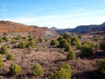 San Valentín. Sierra Minera de Cartagena La Unión. Murcia