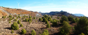 San Valentín. Sierra Minera de Cartagena La Unión. Murcia