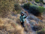 Cantera Barranco de la Mola. Sierra de Olta. Calpe. Alicante