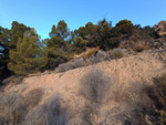 Cantera Barranco de la Mola. Sierra de Olta. Calpe. Alicante