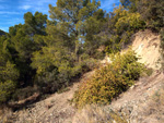 Cantera Barranco de la Mola. Sierra de Olta. Calpe. Alicante