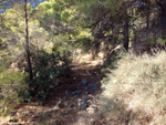   Cantera Barranco de la Mola. Sierra de Olta. Calpe. Alicante