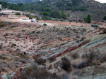 Afloramiento de Aragonito. Loma Bada. Petrer. Alicante