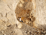   Cantera de Áridos Sodira. Busot. Alicante